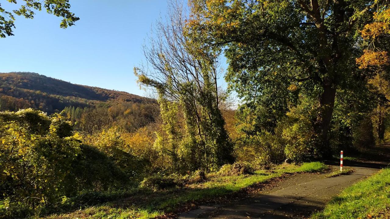 Panoramahaus Sauerland Lägenhet Arnsberg Exteriör bild