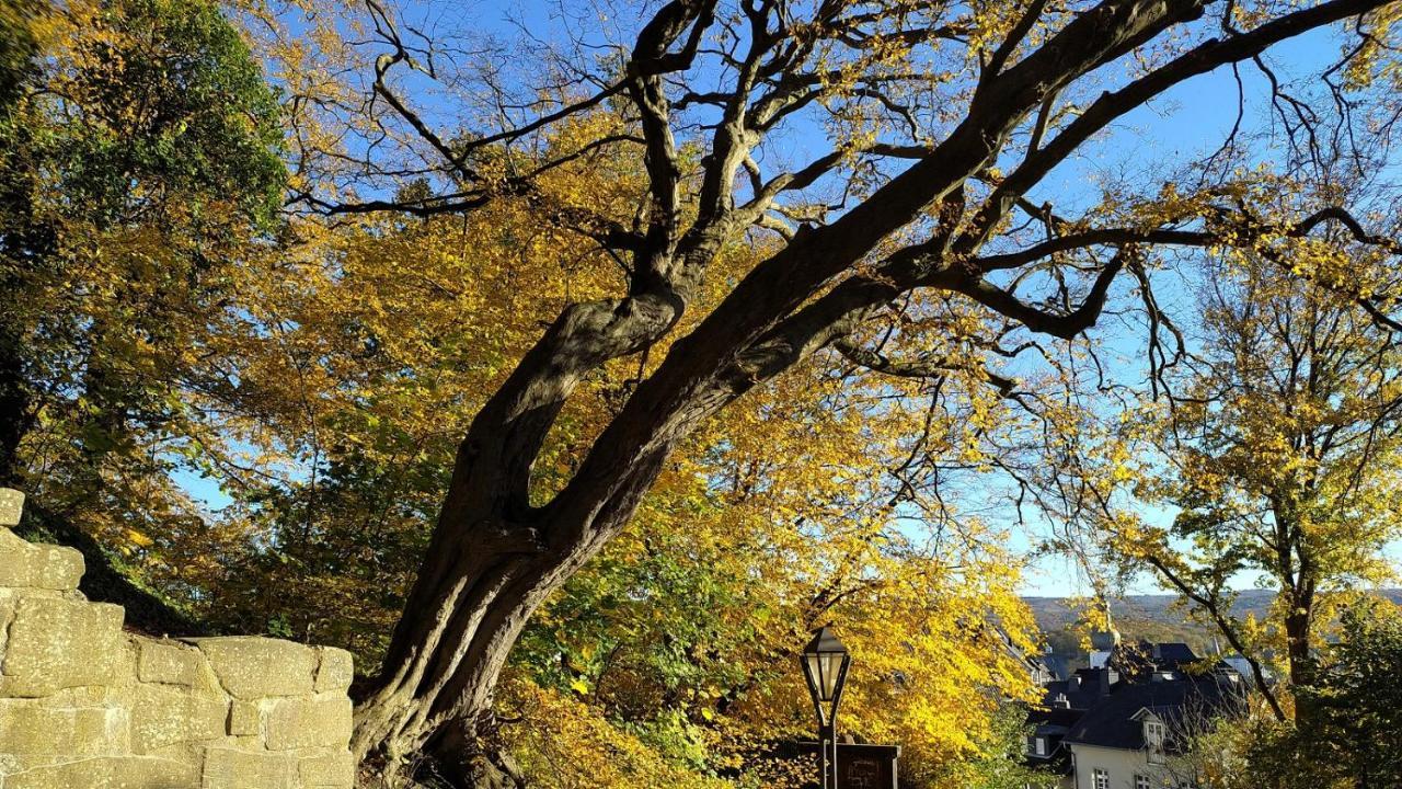 Panoramahaus Sauerland Lägenhet Arnsberg Exteriör bild